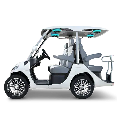 TARA T3 2+2 GOLF CART