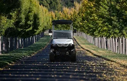 Golf Cart: The Perfect Companion for Fall Outings