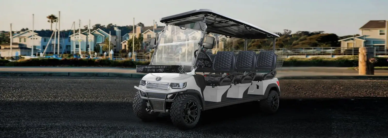 TARA golf cart for golf clubs