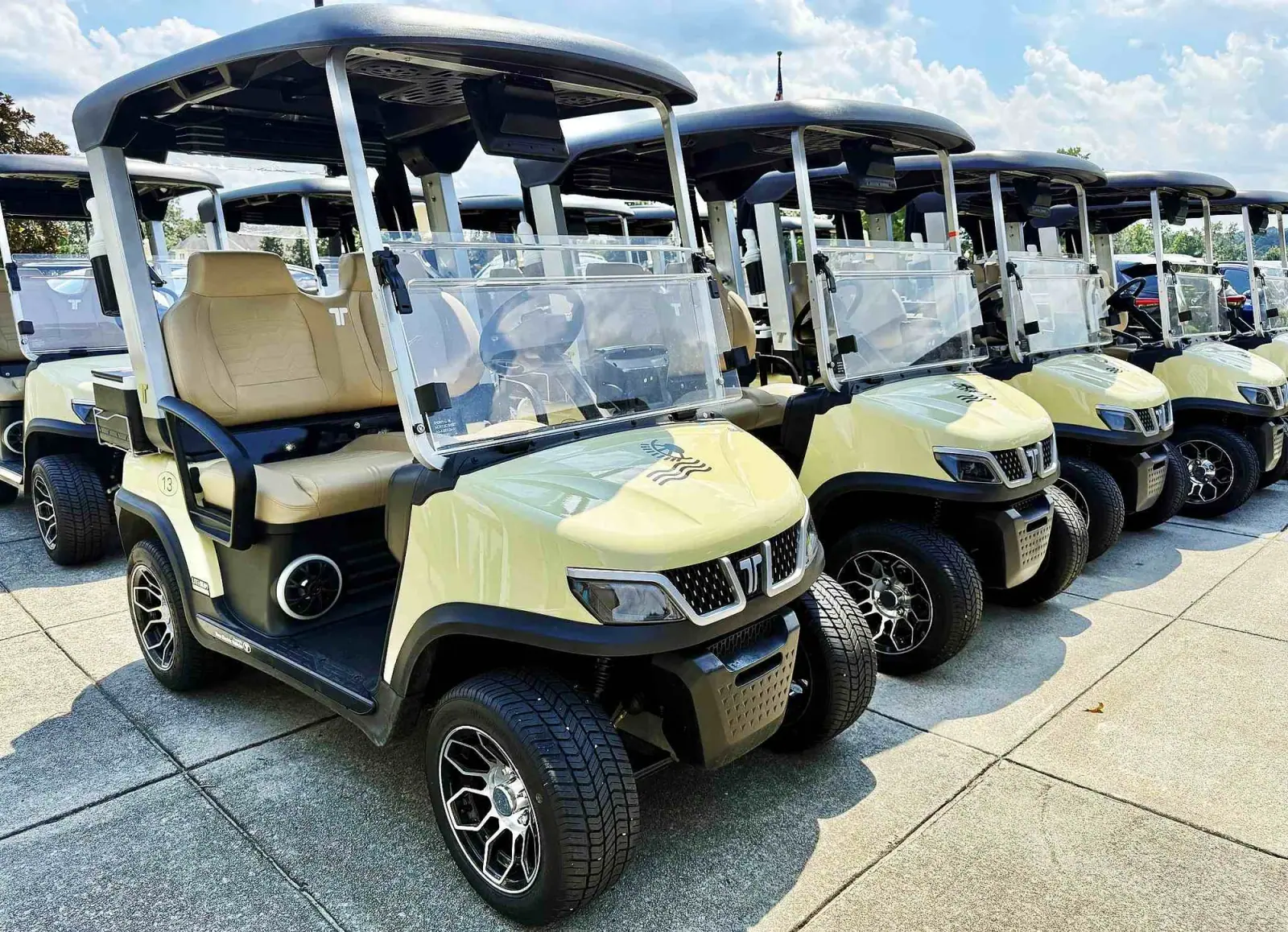 Smart Golf Course Management with Electric Carts