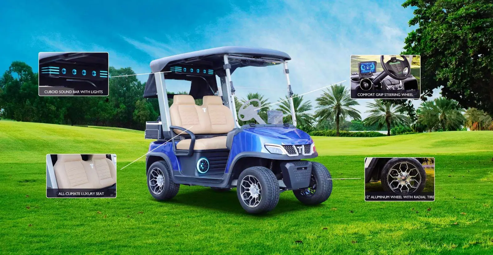Two Seat Electric Car for Resort and Golf Use