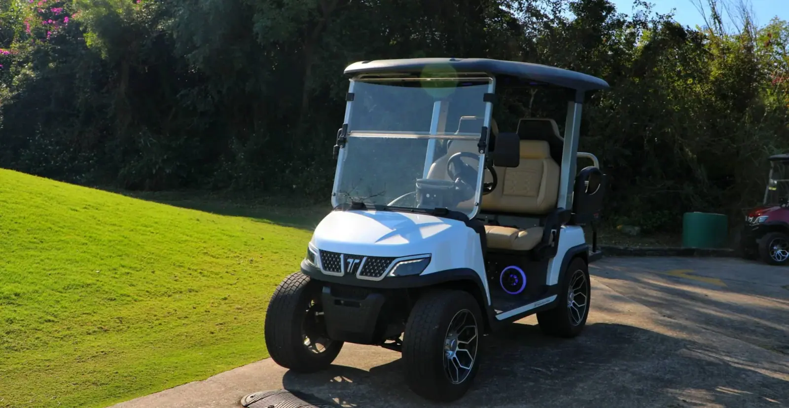 electric-hunting-carts