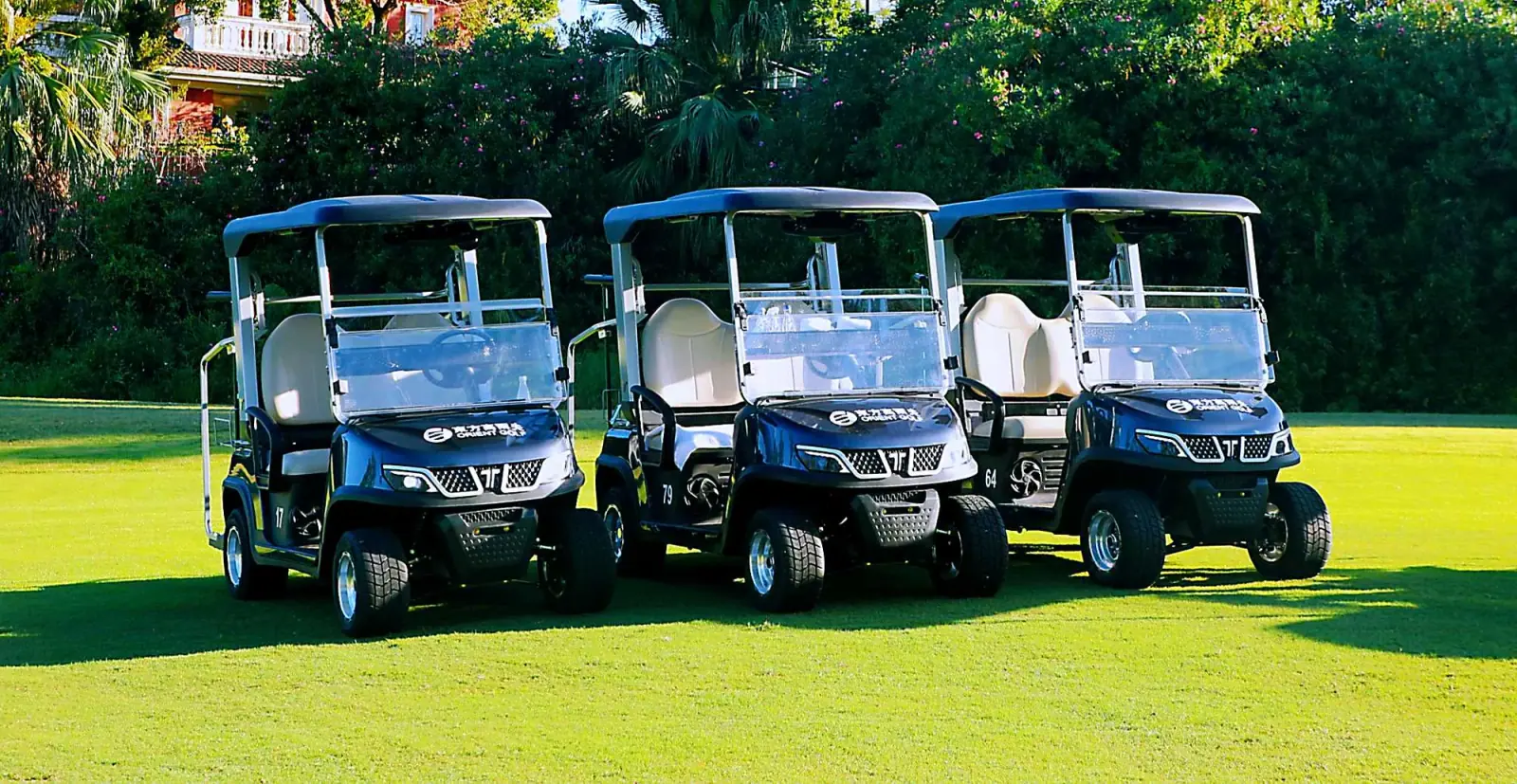 Standard 2 Seater Golf Cart Dimensions