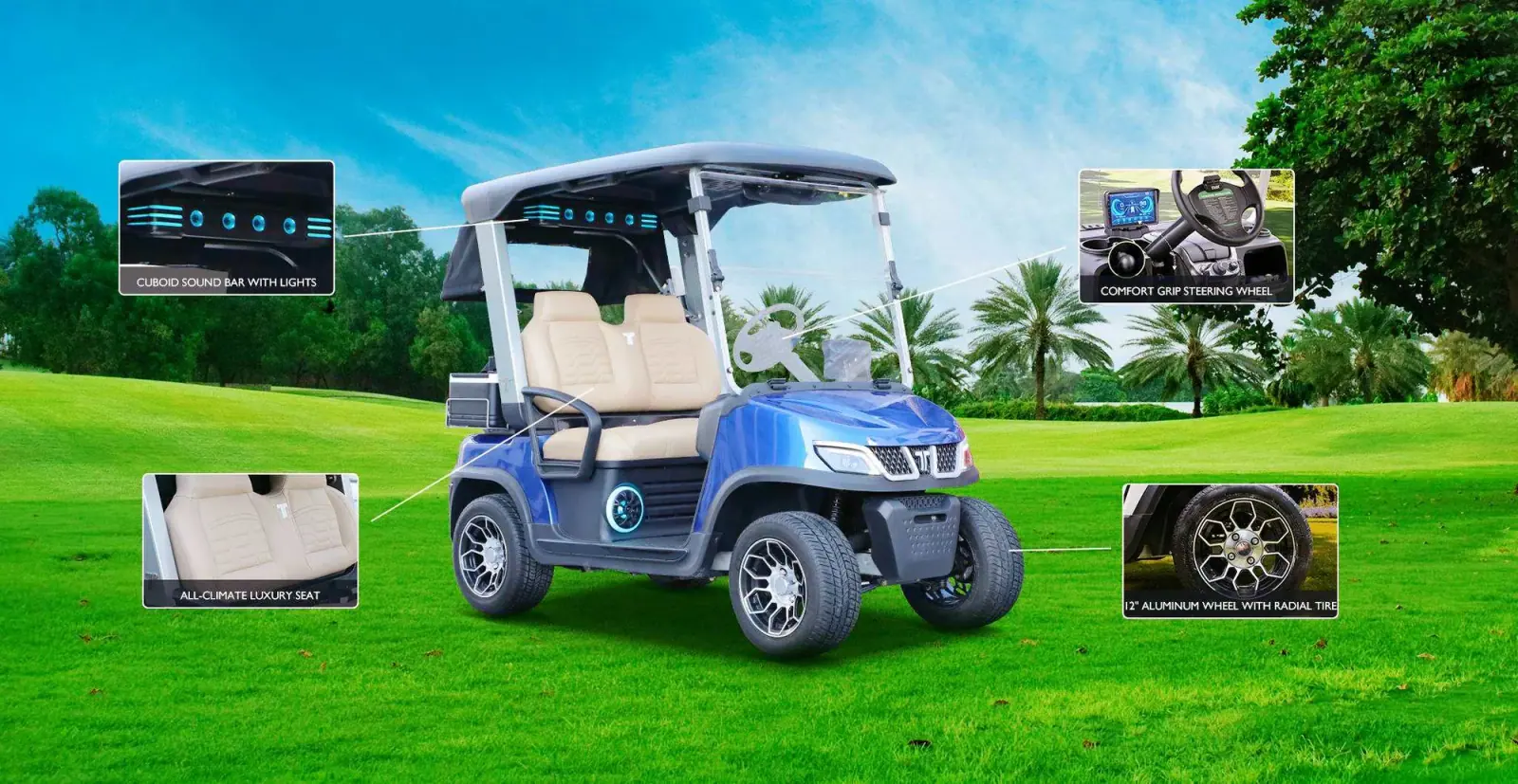 Low Price Golf Carts by Tara