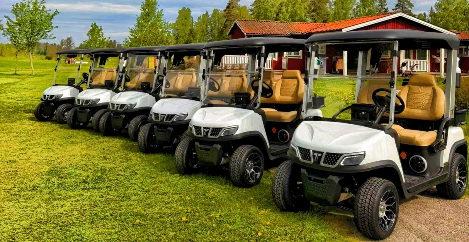 tara-vs-denago-golf-cart