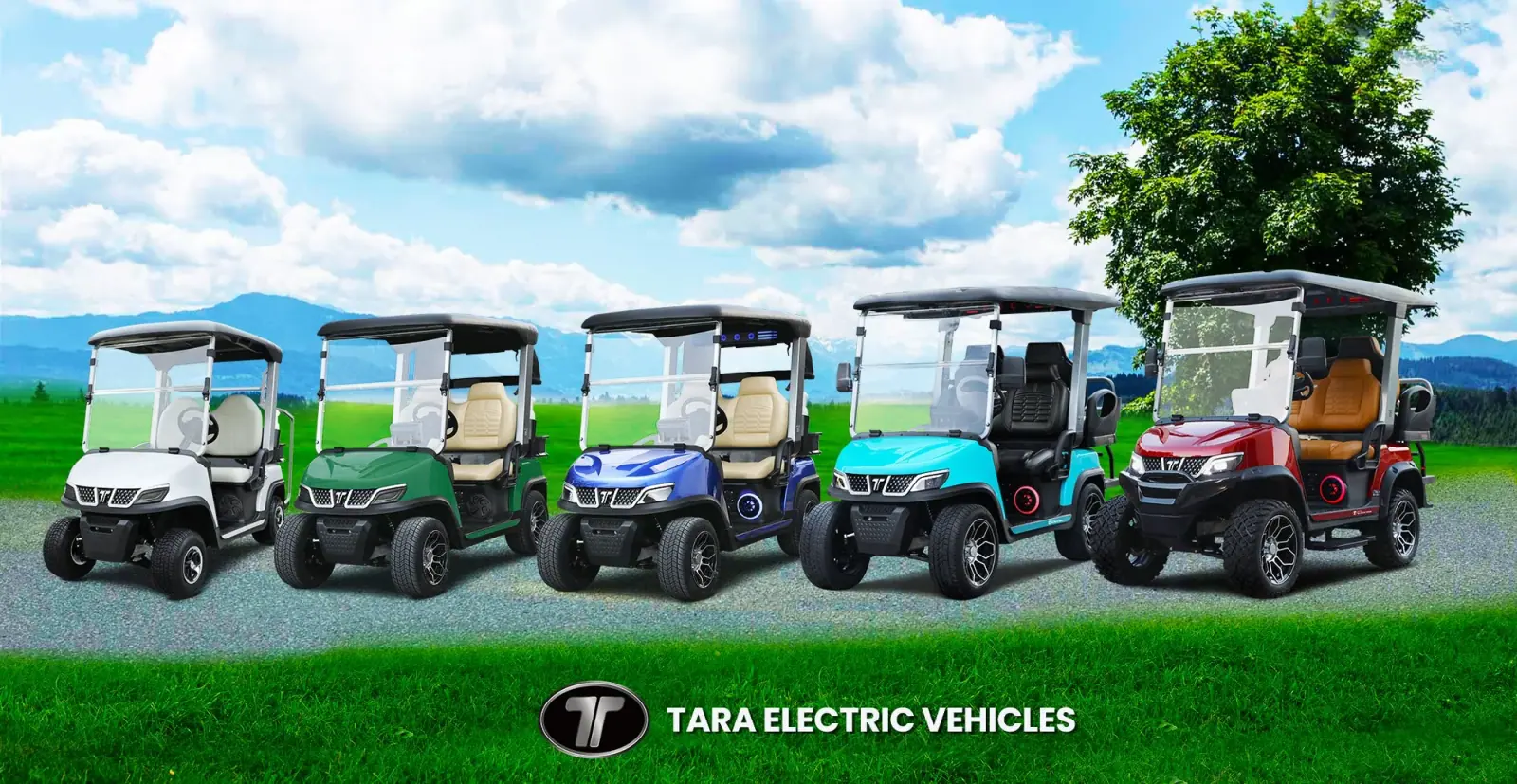 TARA Personal Transportation Vehicles Seating Capacity Comparison 2 vs 4 vs 6