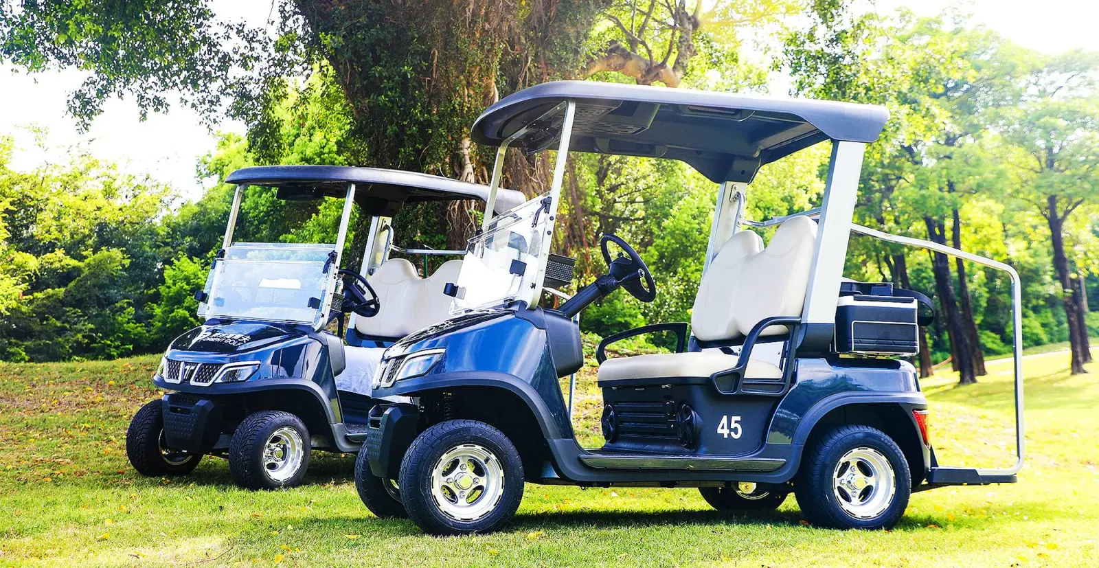 Tara Harmony Golf Cart on Course – Compact & Lightweight