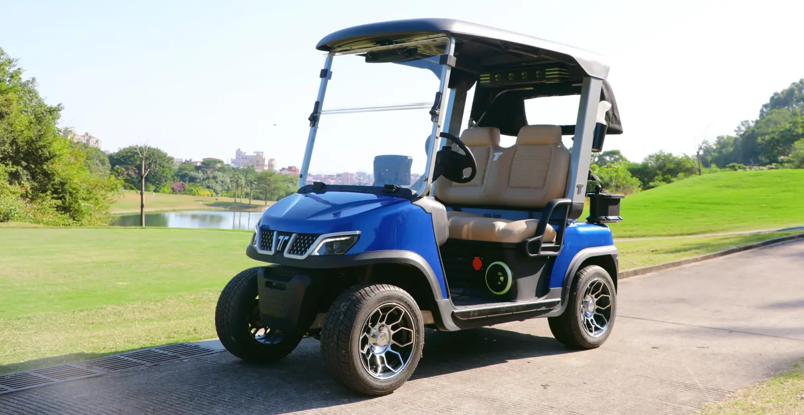 tara golf cart dealership