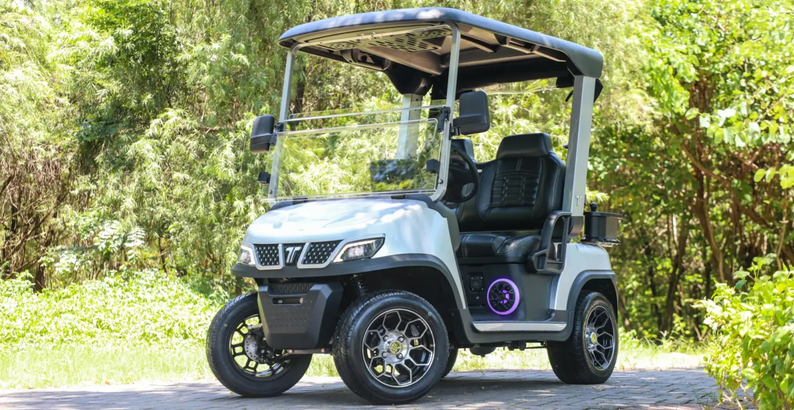 tara golf cart news01