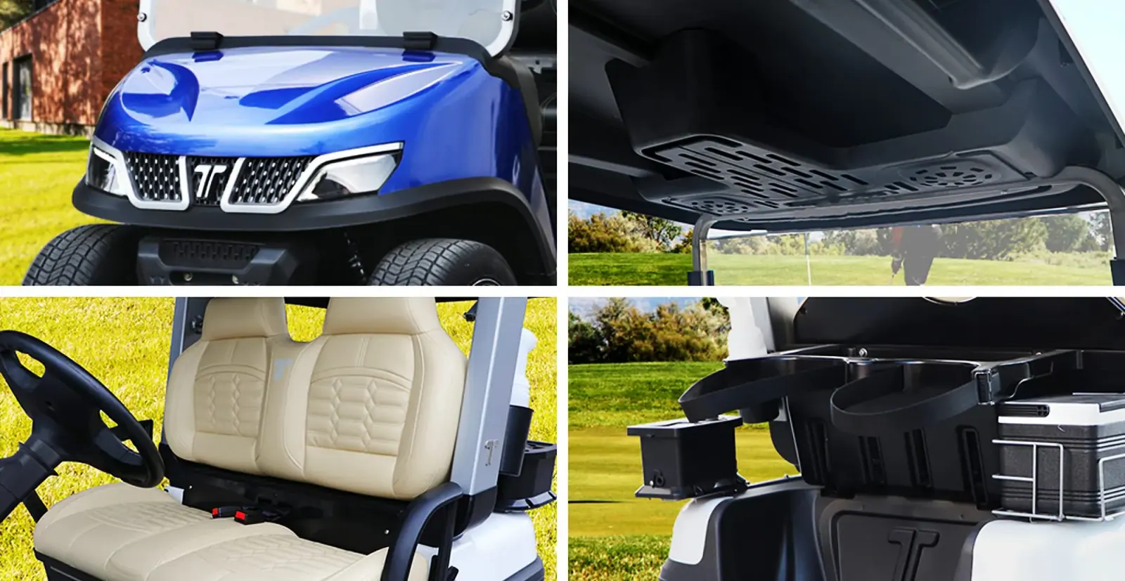 Tara Electric Golf Cart Parts Solutions