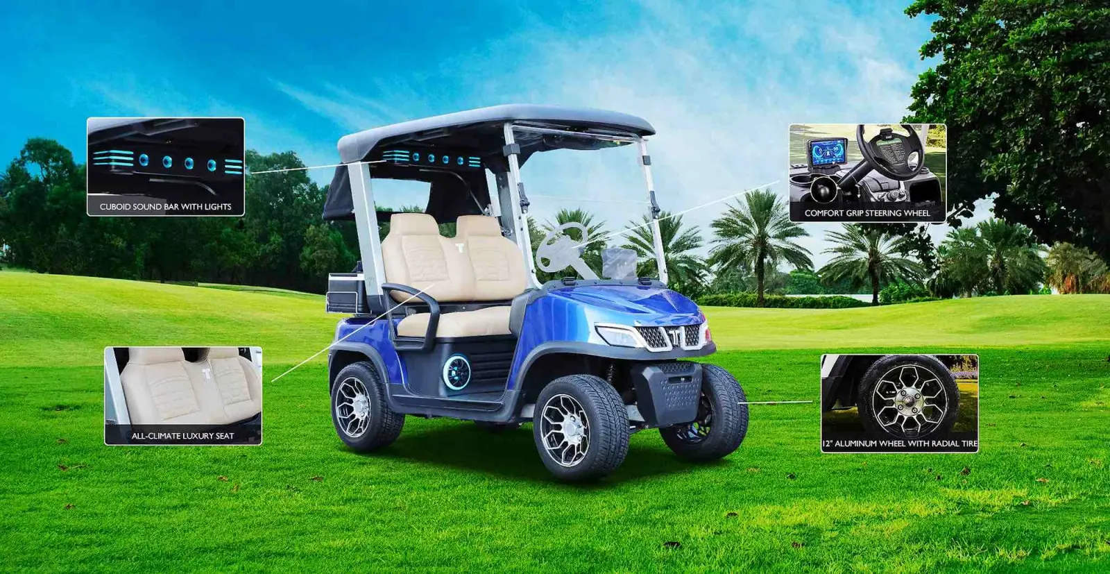 Electric Golf Cart Service and Support