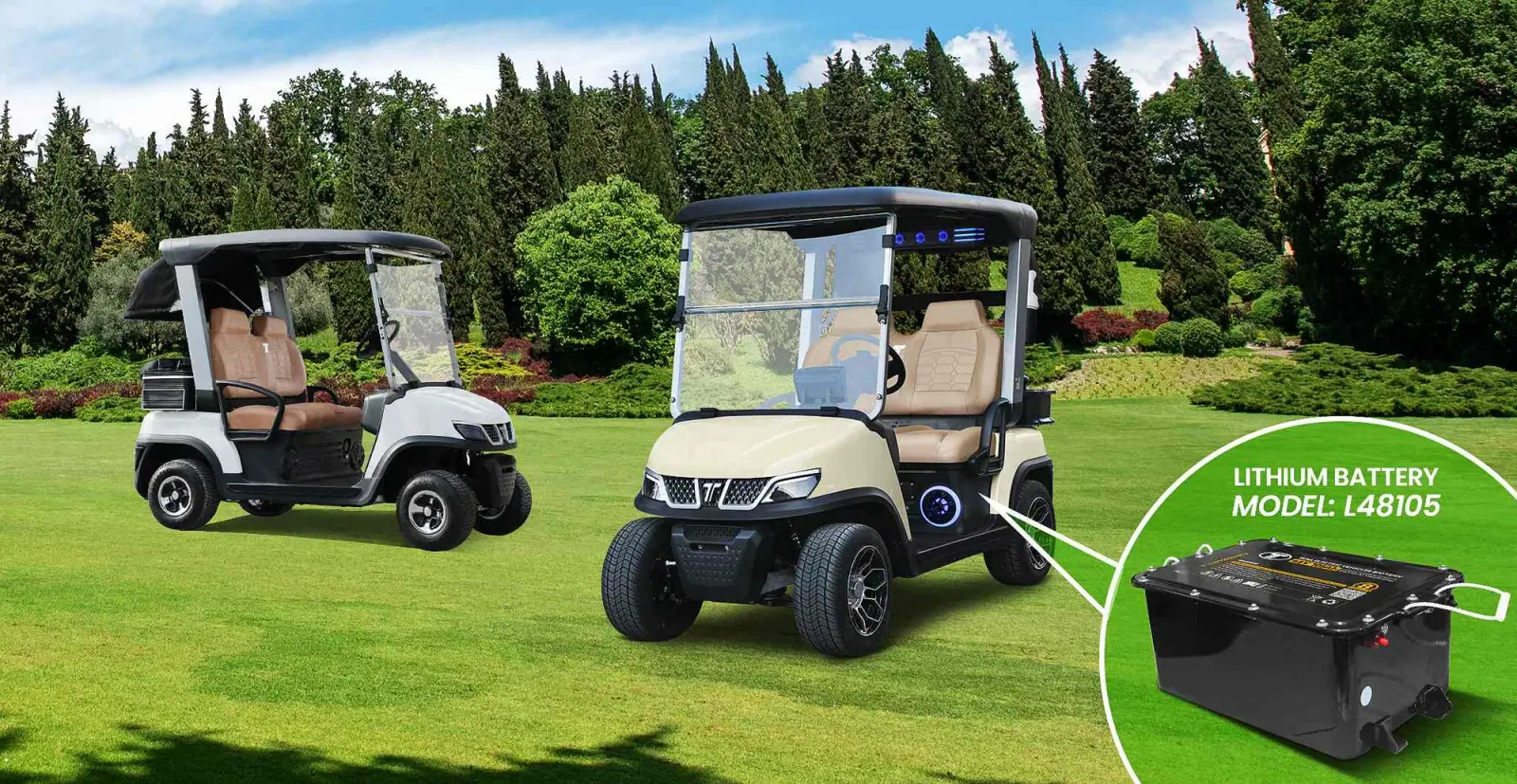 Lithium Battery For Golf Cart by Tara