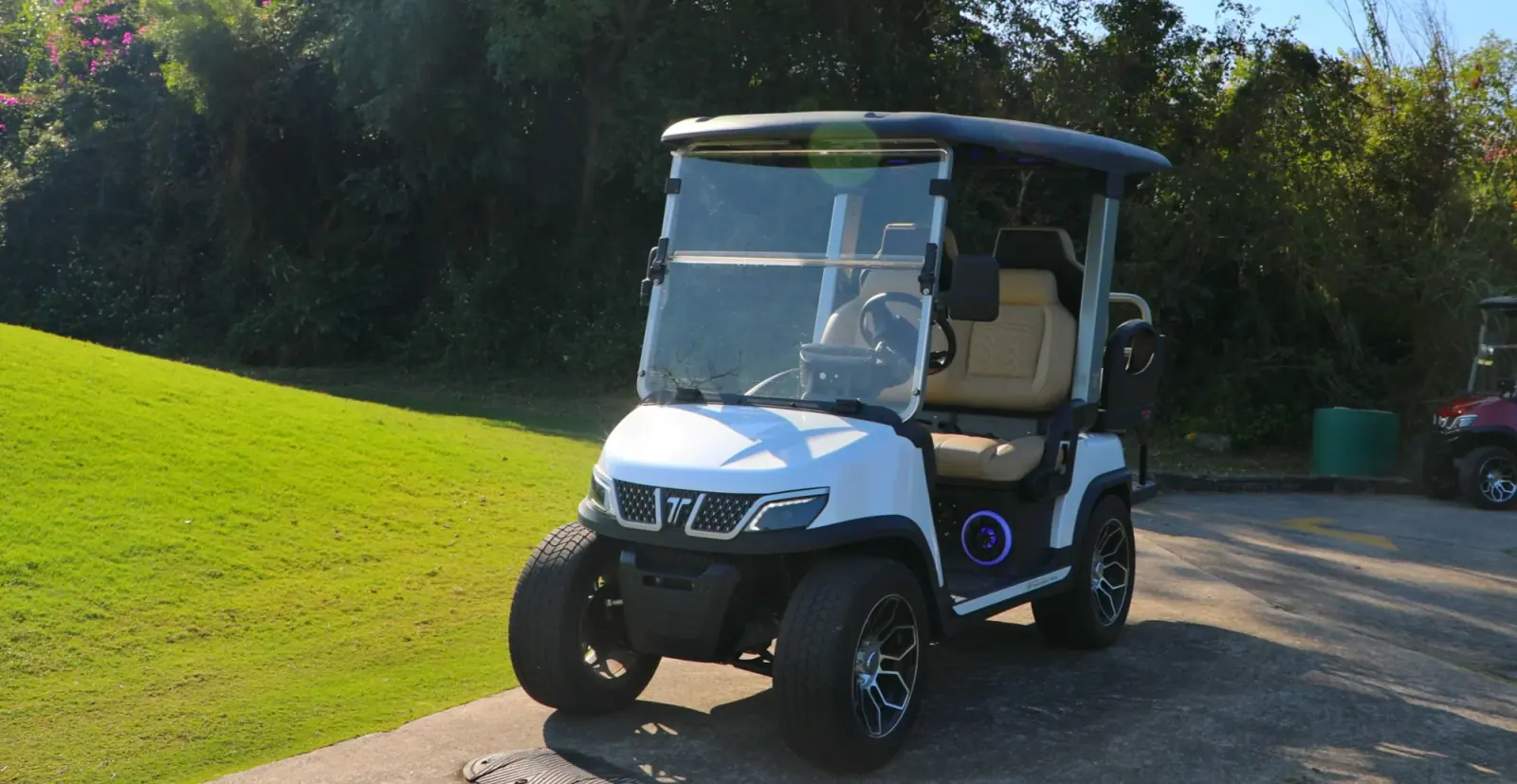 Electric Golf Cart vs. Fuel Golf Cart