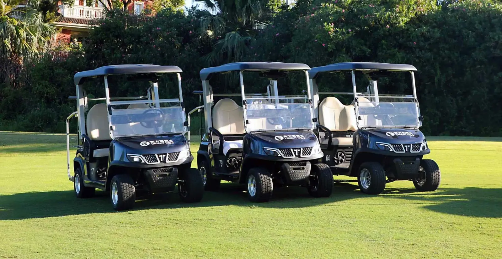 2-passenger-golf-carts-electric-fleet
