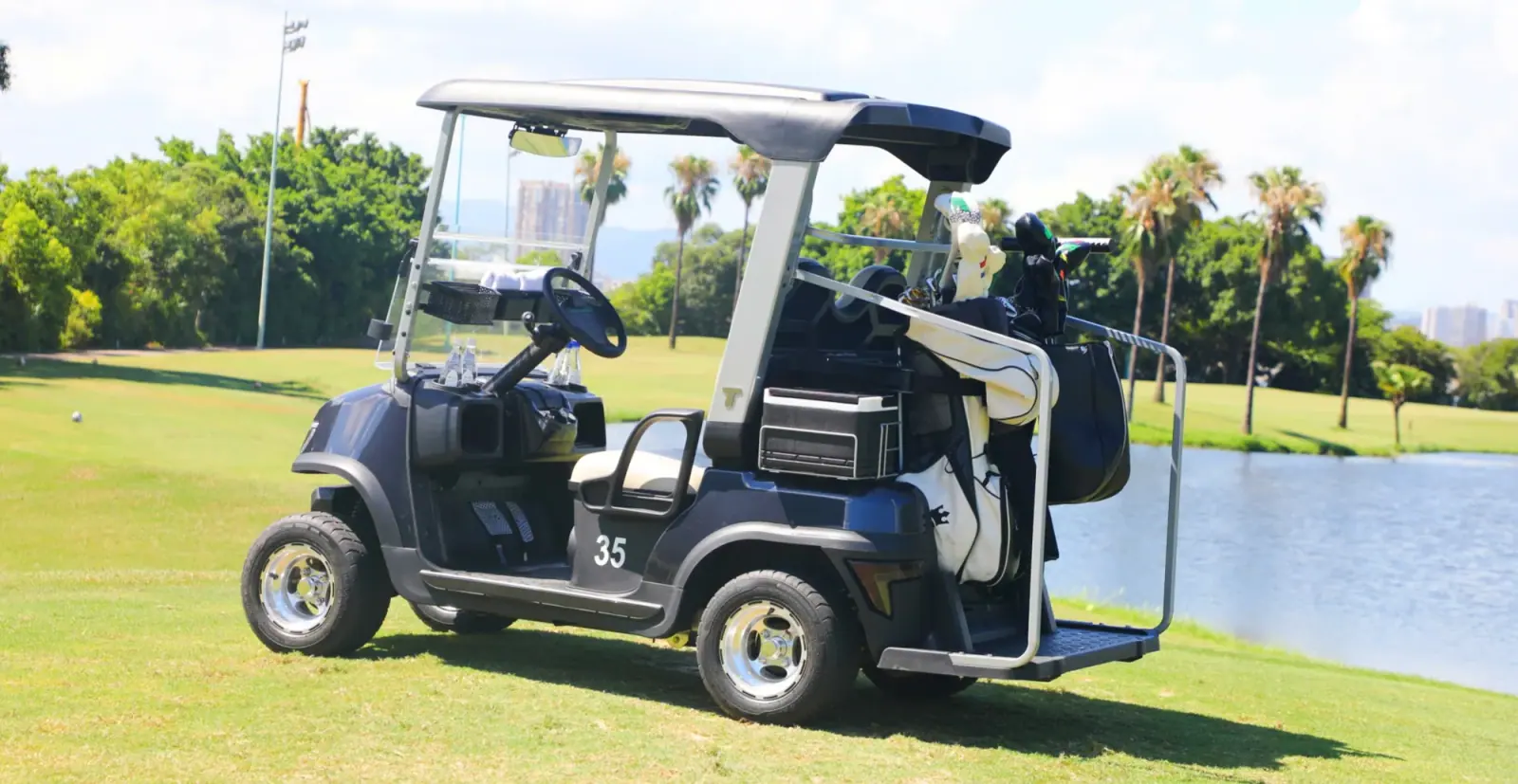 Tara Harmony Golf Cart Driving on a Lush Golf Course