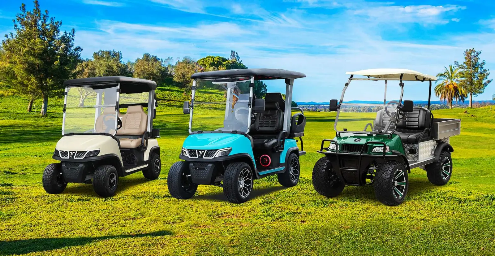 Tara Electric Golf Cart – Club Car Alternative