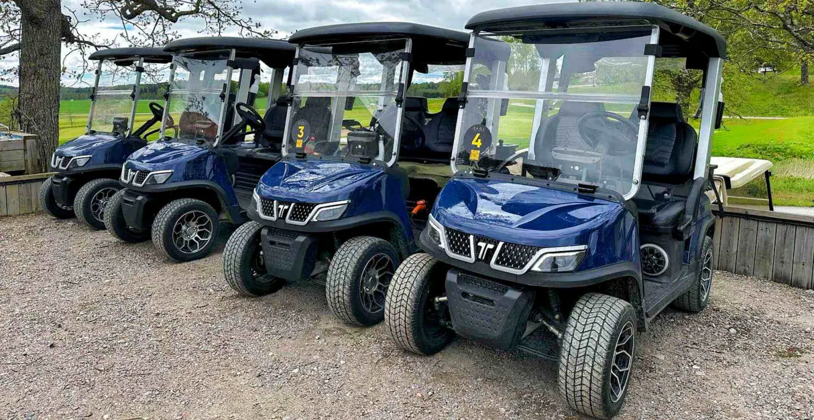 tara-2-seat-golf-cart