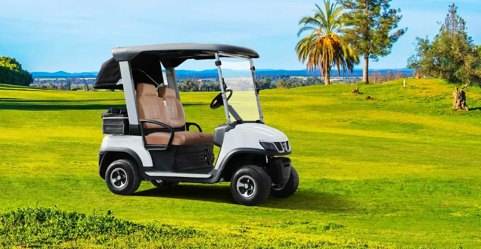 TARA Personal Transportation Vehicles Equipped with AC Motor System