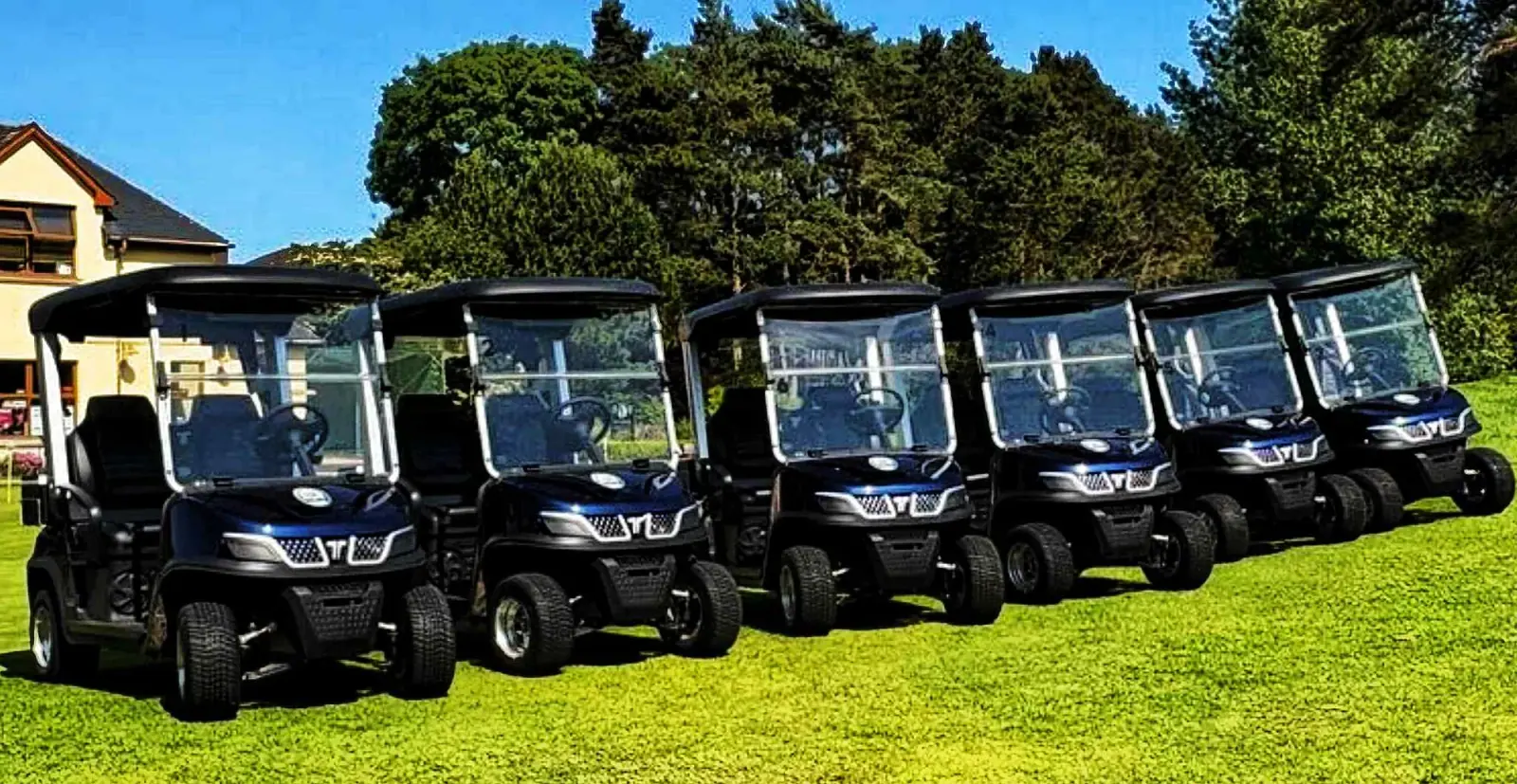 Electric Golf Cart Service on Golf Course
