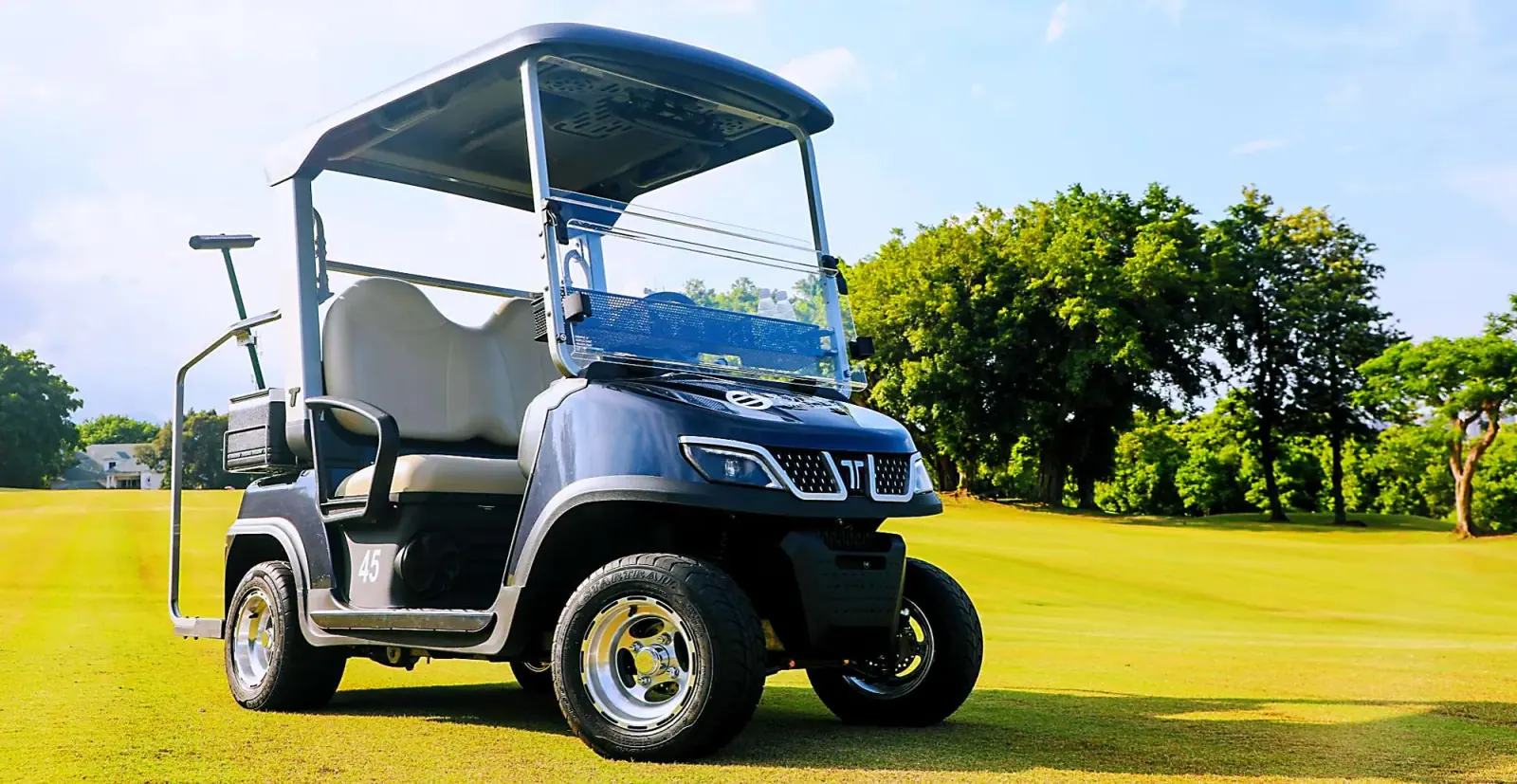 TARA Personal Transportation Vehicles Service – Professional Maintenance and Inspection