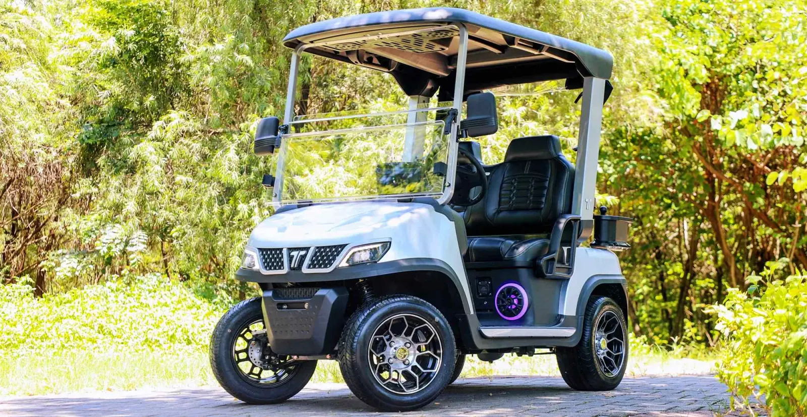 Street Legal LSV Golf Cart