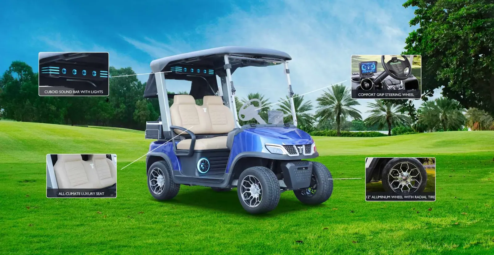 Tara Small Electric Vehicle on Golf Course