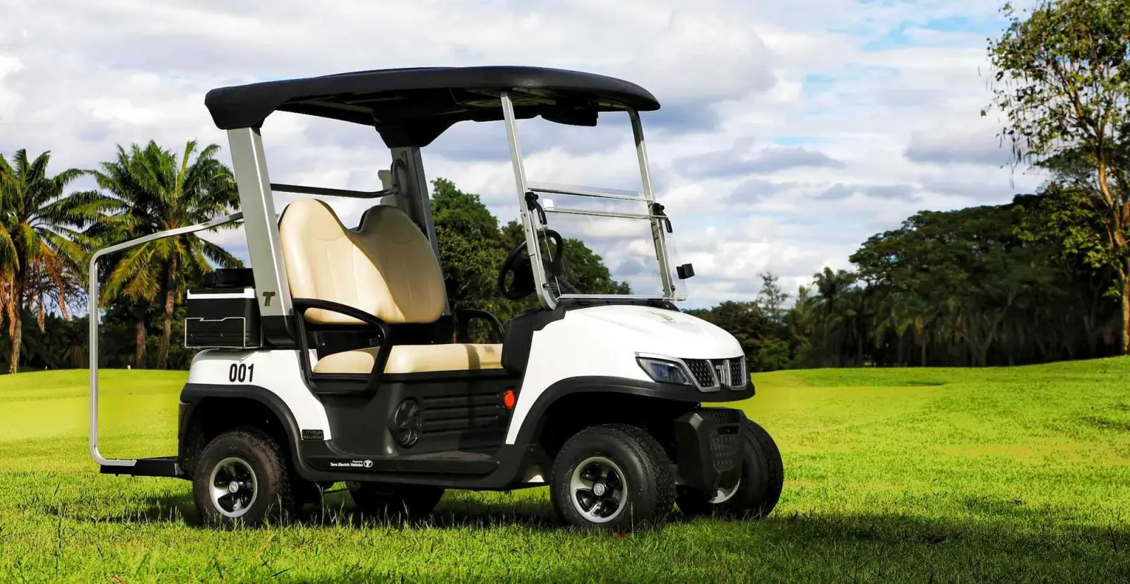 lithium-2-seater-electric-golf-cart-golf-club-use