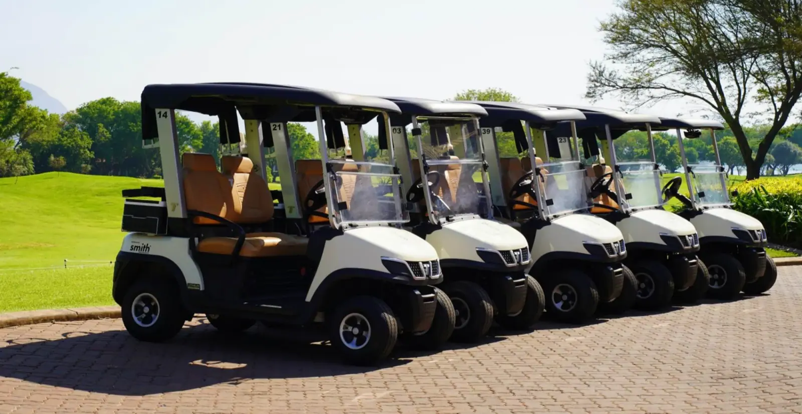 tare-electric-golf-cart-on-golf-course