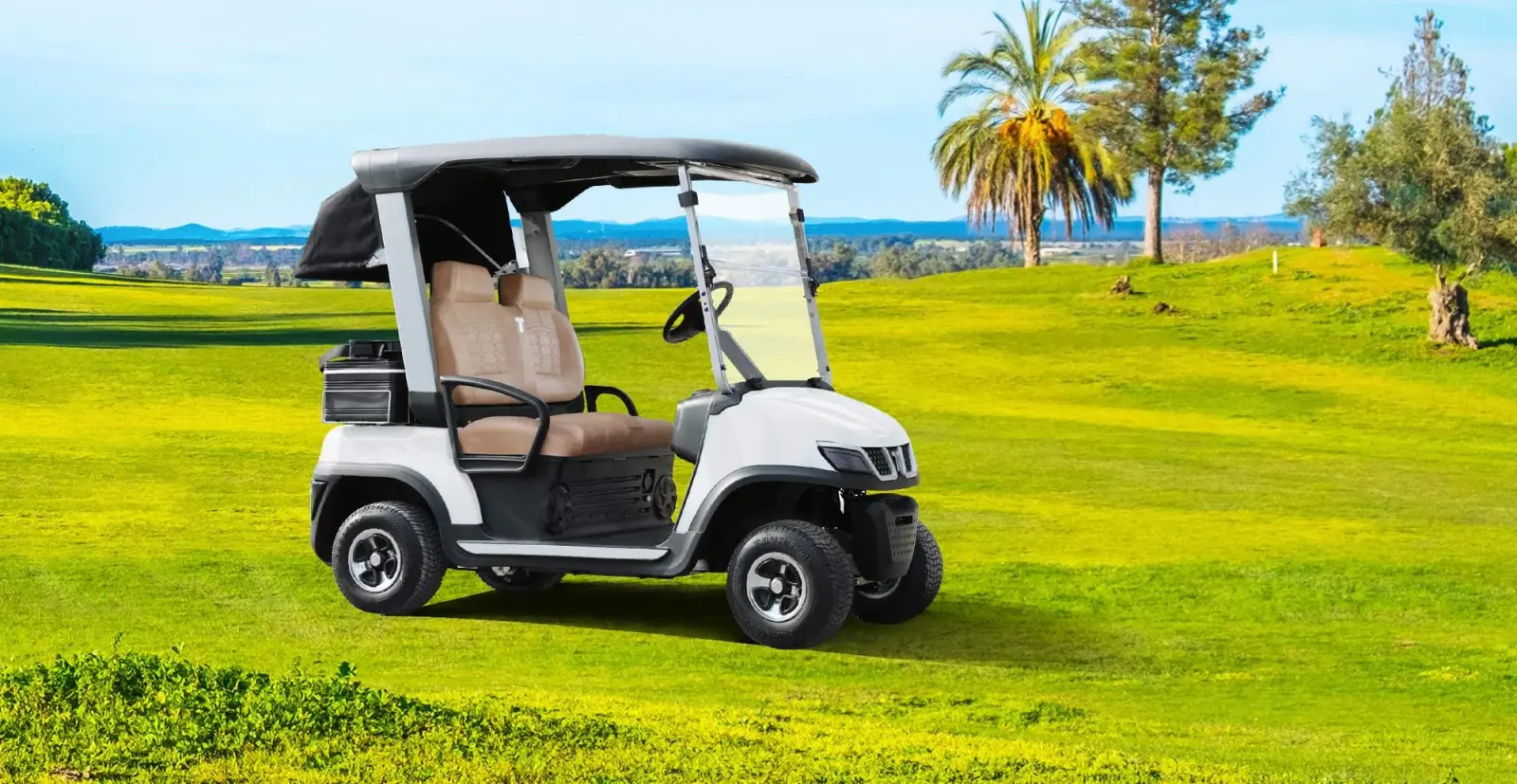 TARA Personal Transportation Vehicles Electric Car Builder Options
