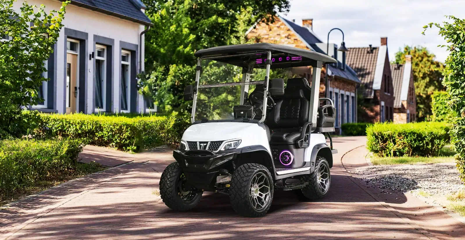 Tara 4WD Golf Cart Off-Road in Action