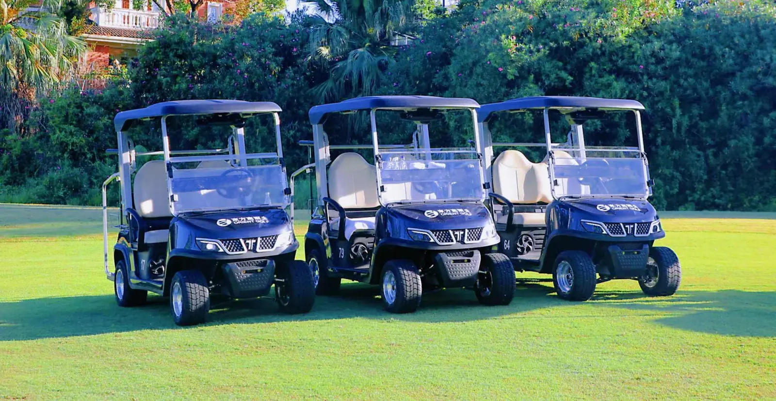 TARA Personal Transportation Vehicles Fleet for Rental Business