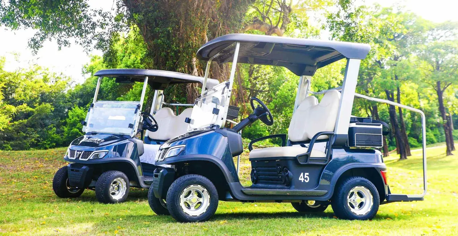 Tara Enclosed Electric Golf Cart with Advanced Features