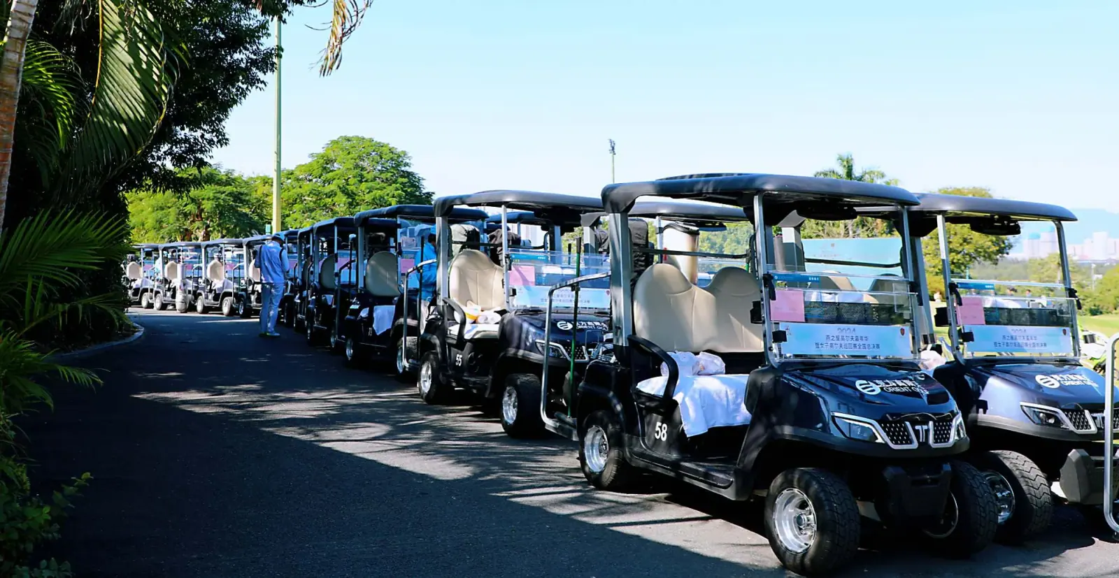 Golf Cart Purchase by Tara