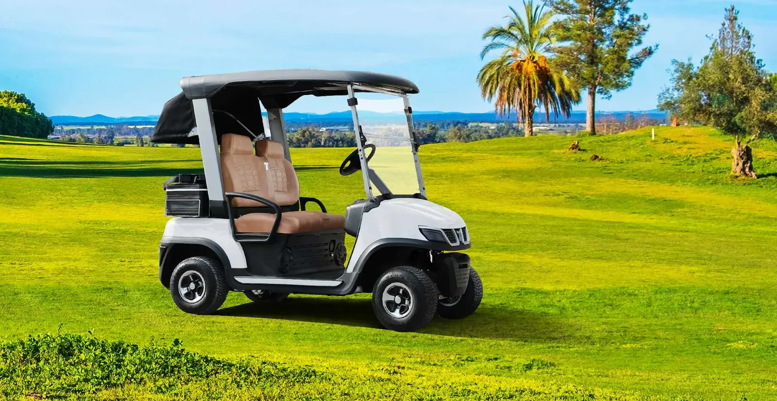 4 Wheel Drive Electric Golf Cart on Golf Course