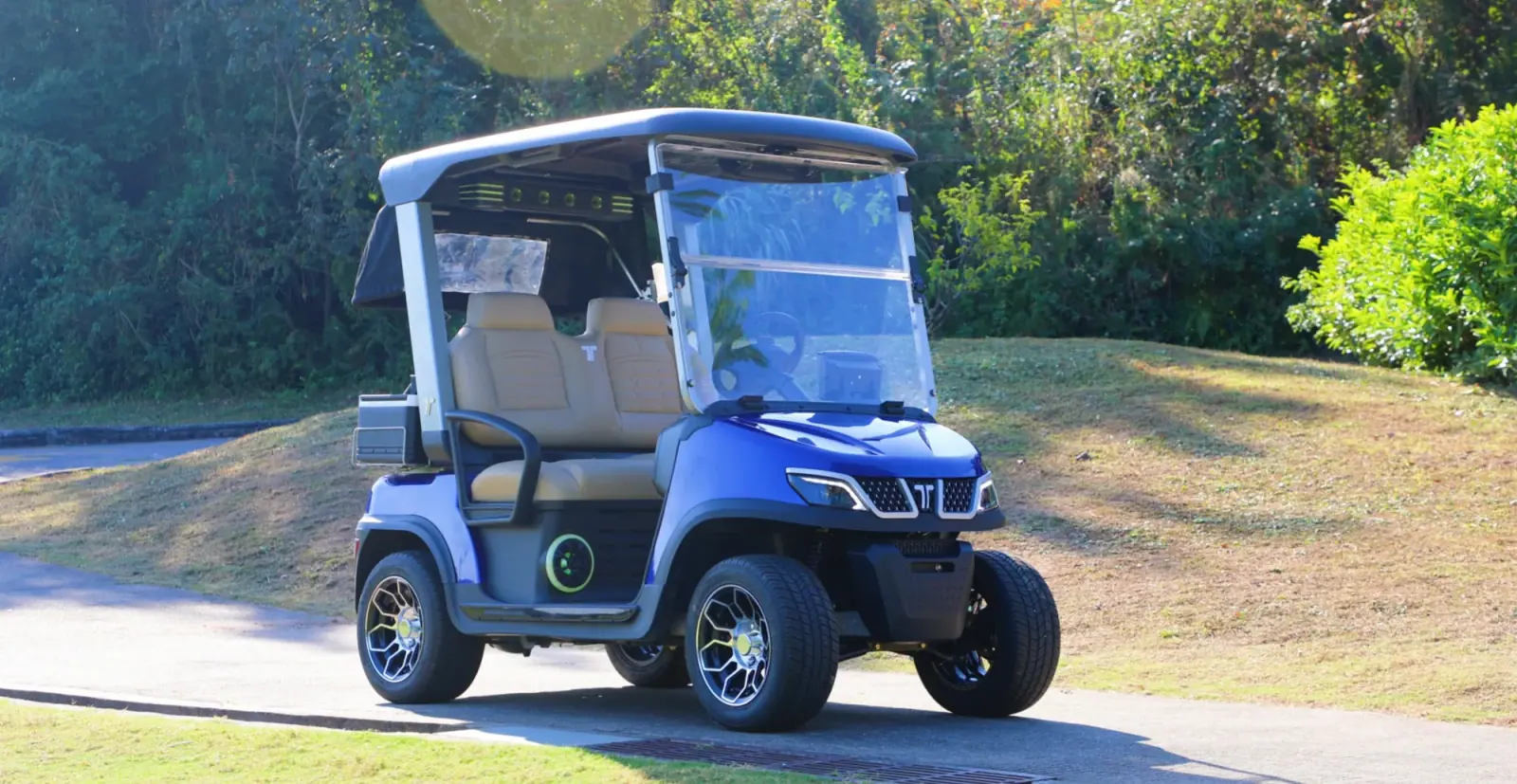 tara golf cart for golf course