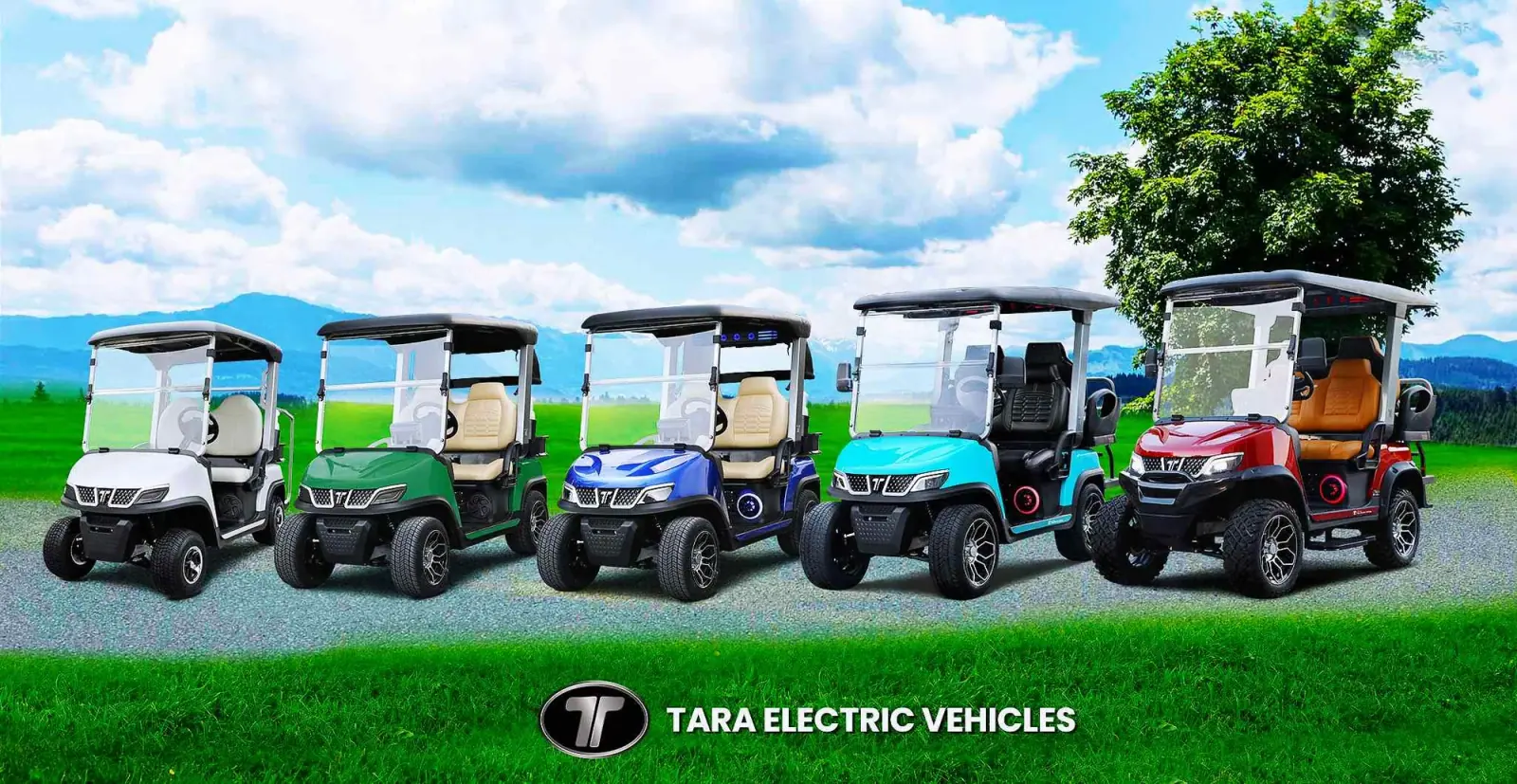 TARA Personal Transportation Vehicles With Lithium Battery