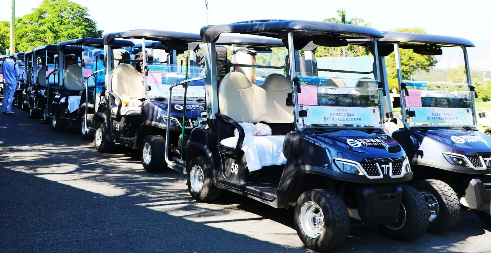 Fleet of Tara Custom Buggies at Resort