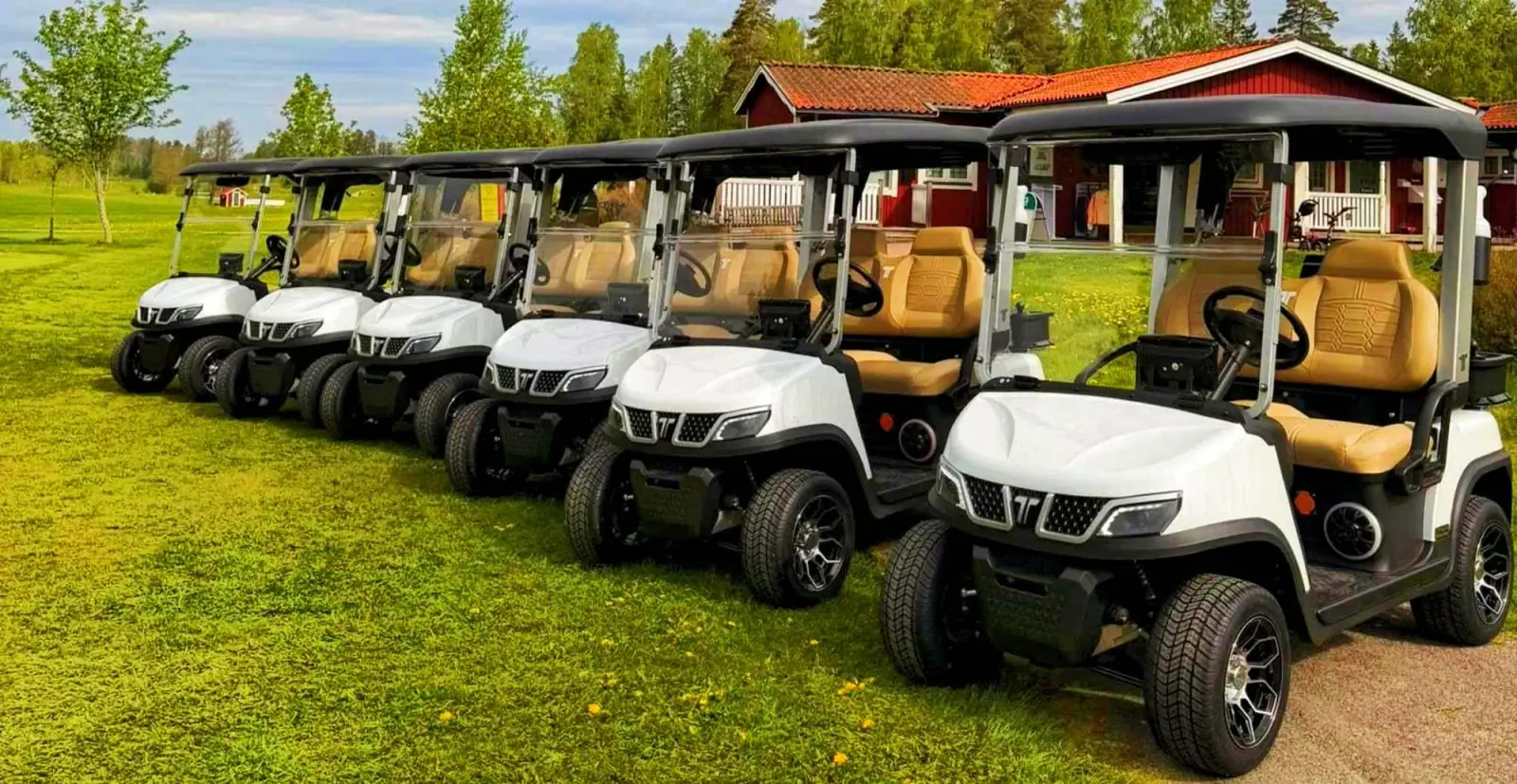 golf-fleet-vehicles