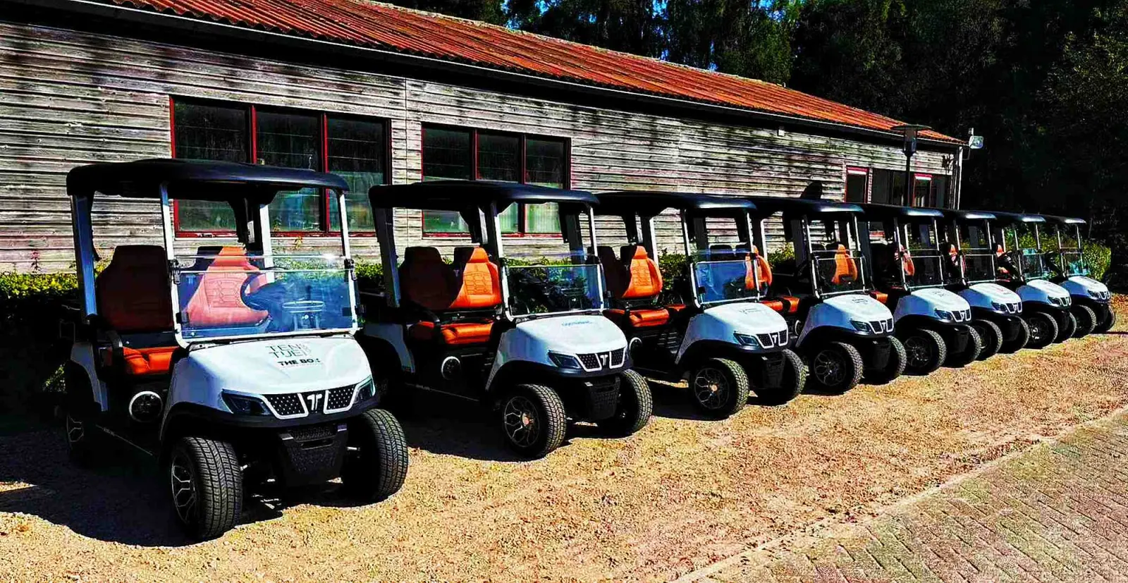 gas-powered-golf-cart-battery-guide