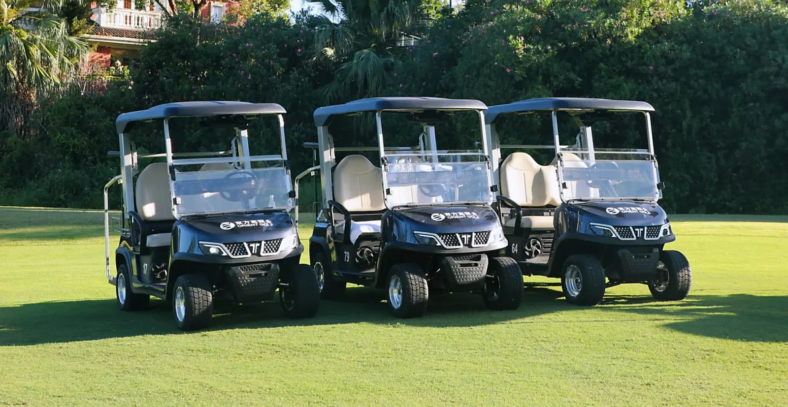 TARA Personal Transportation Vehicles Fleet on 9 Hole Golf Course