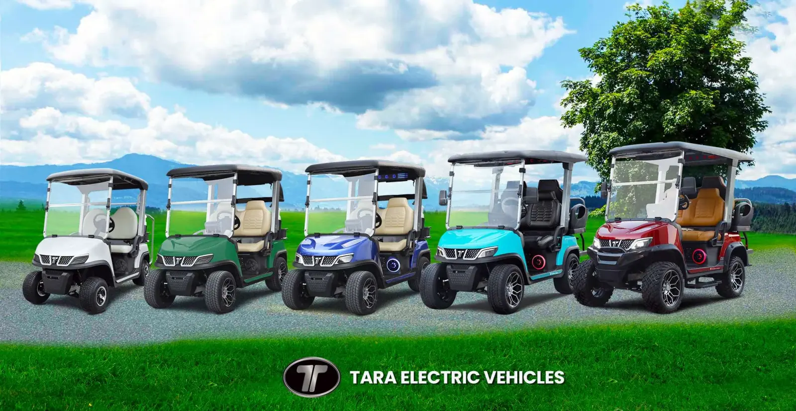 Custom Golf Cart Dealer Showcase