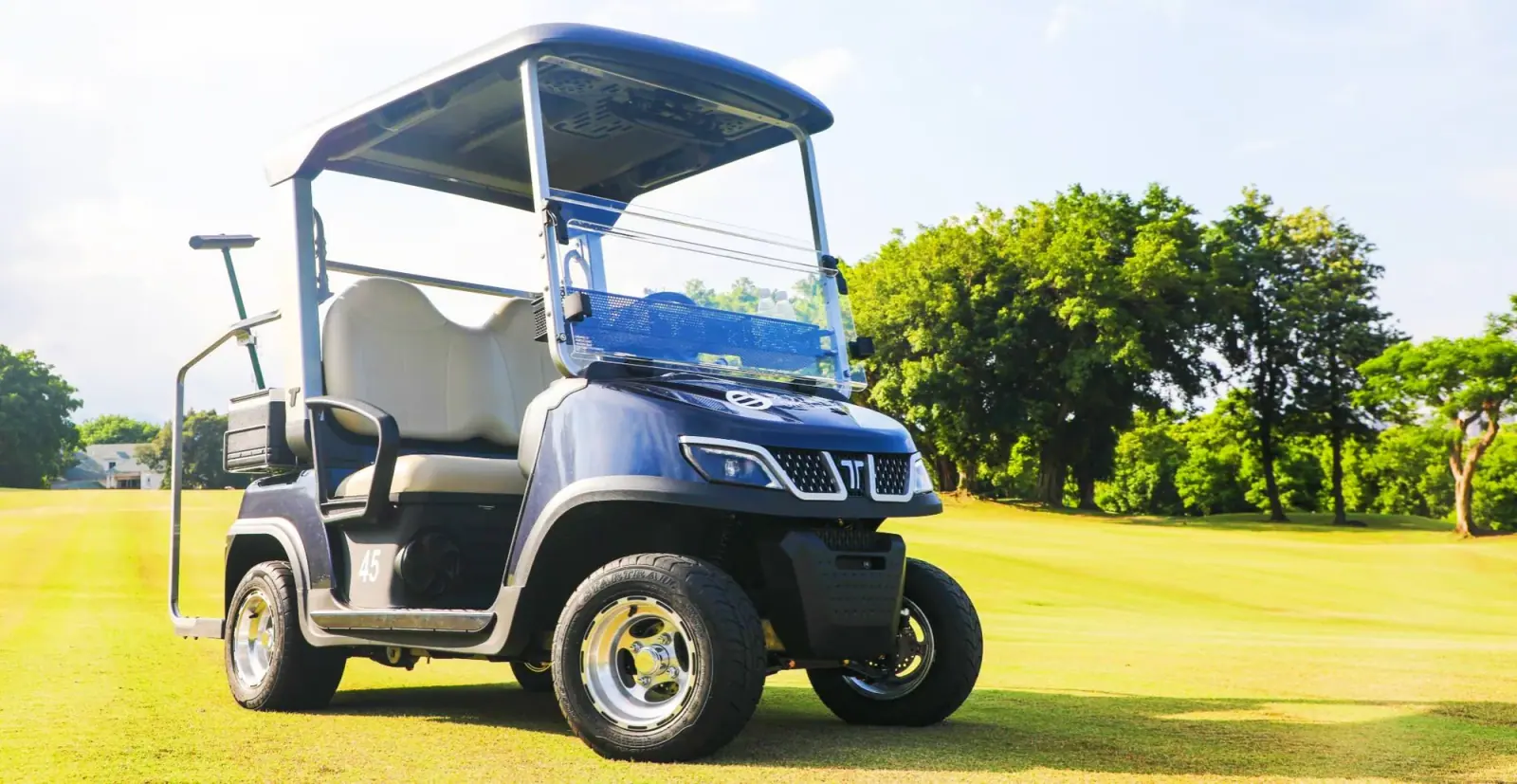 Custom Fancy Golf Cart by Tara Manufacturer