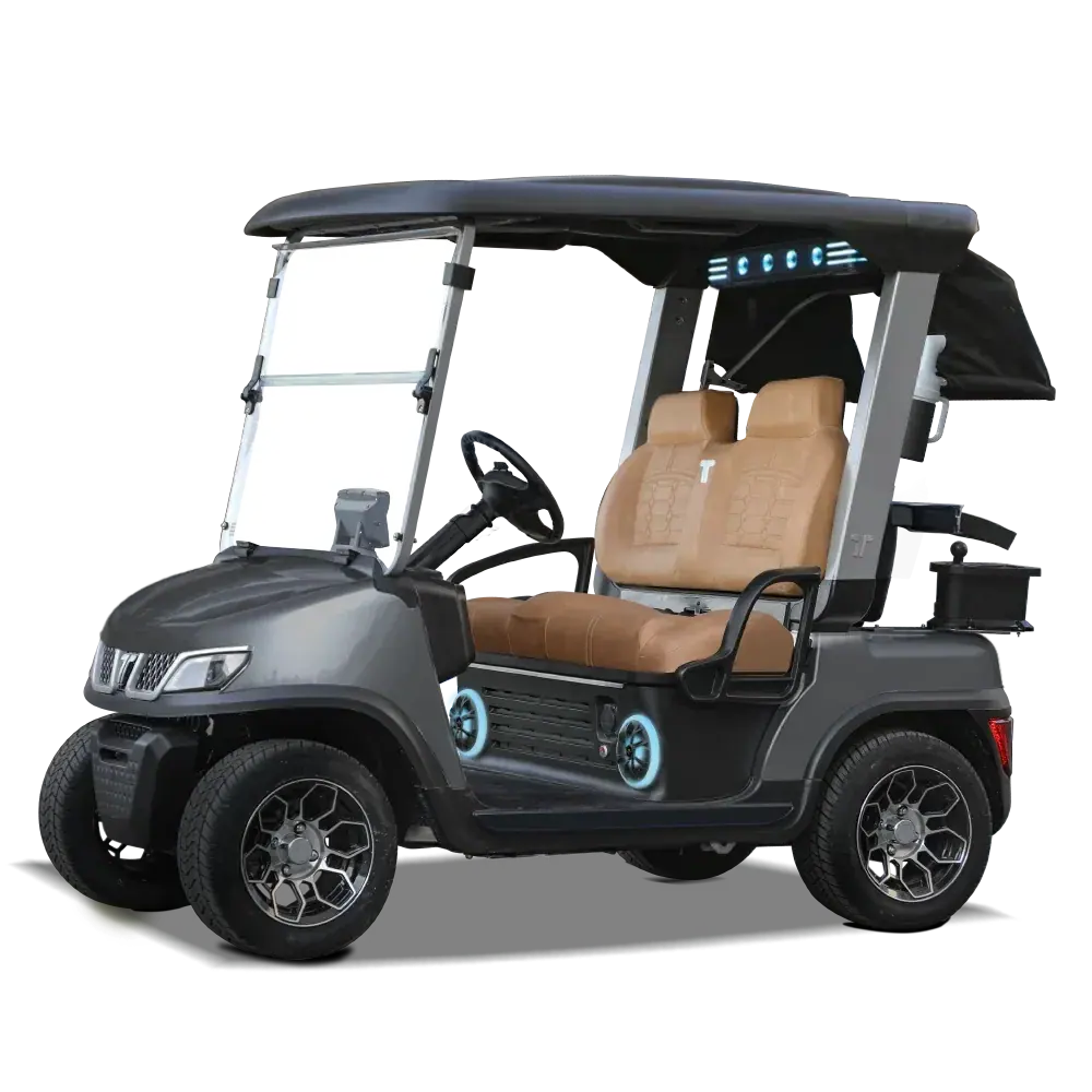 Gray Tara Spirit Plus Golf Cart with Modern Styling and Lithium Power